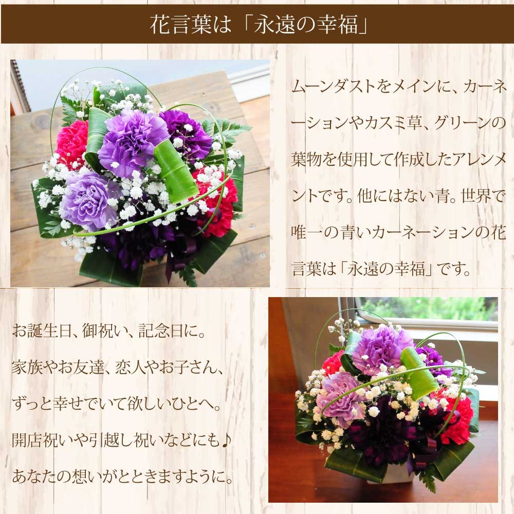 ムーンダストは、他にはない唯一無二の青いカーネーションです。全てをやさしく包み込む、月の青い光をイメージしています。