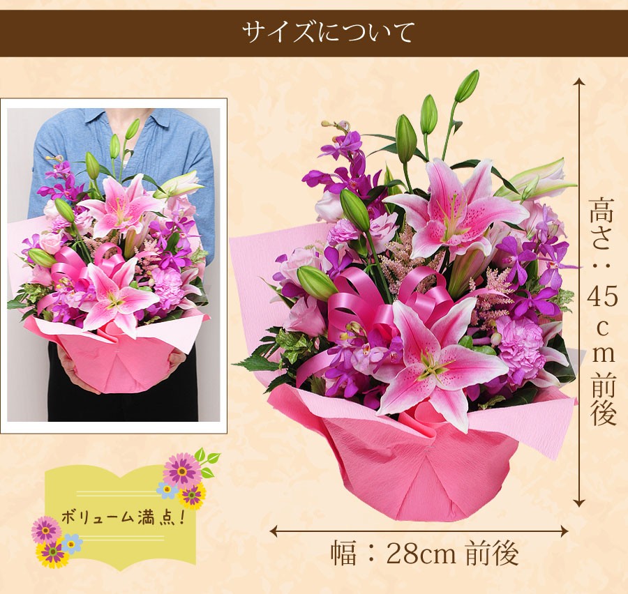 サイズは高さ：45cm×幅：28cm前後。