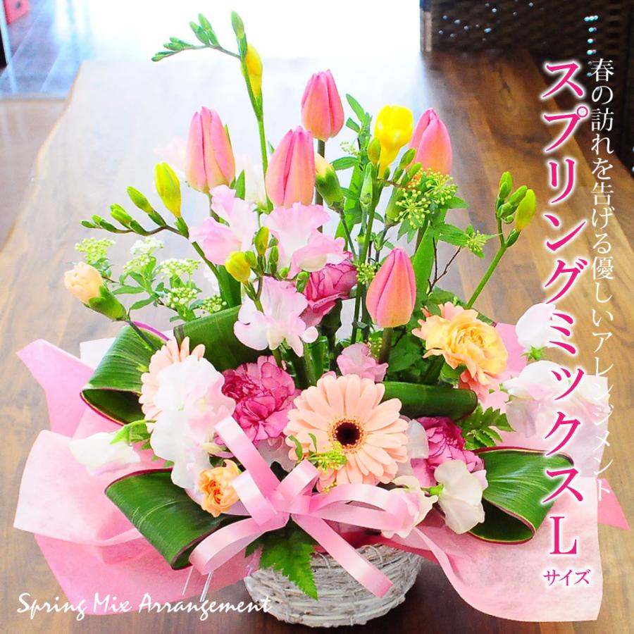 スプリングミックスLサイズ