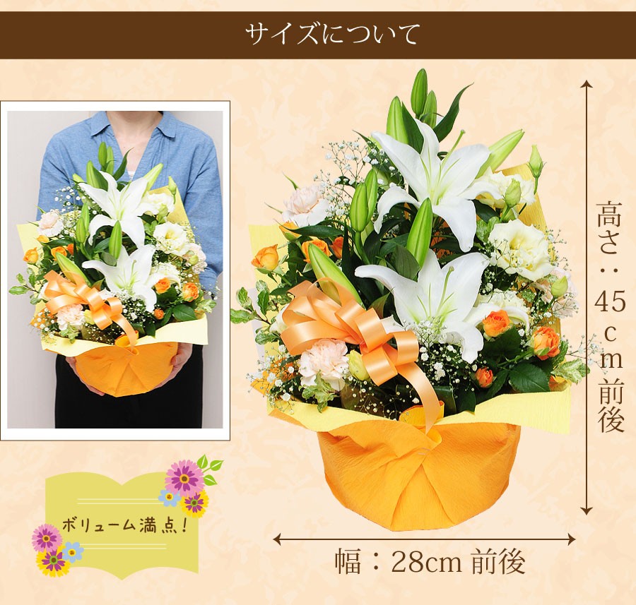 サイズは高さ：45cm×幅：28cm前後。