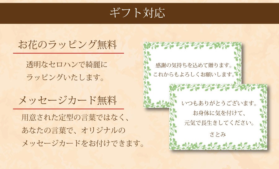 ラッピング無料、メッセージカード無料です。
