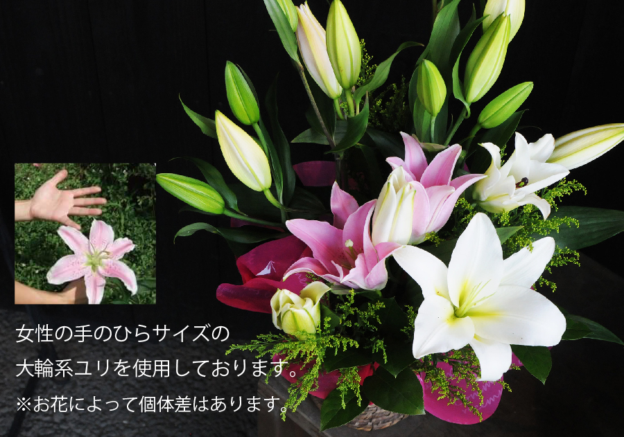 ユリの大きさ手のひらサイズ
