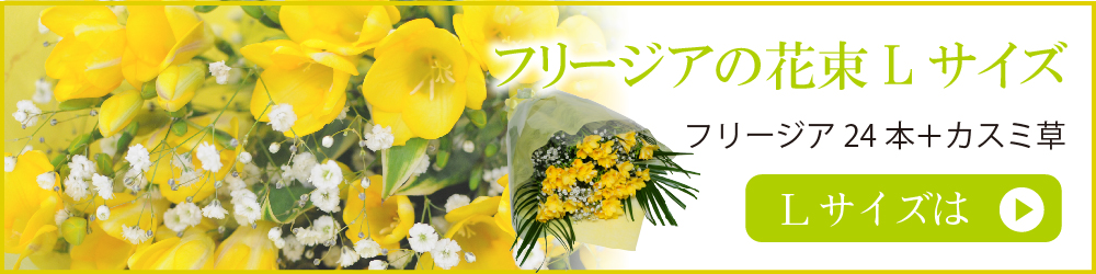 フリージアLサイズ 