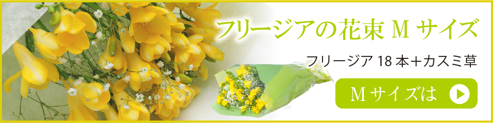 フリージアMサイズ 