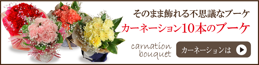 カーネーションのブーケ