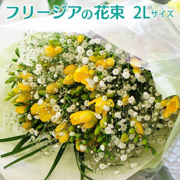 フリージアの花束2Lサイズ
