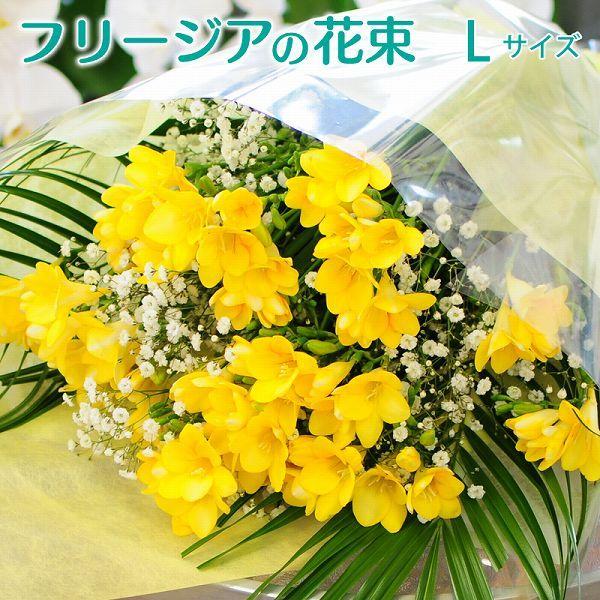 フリージアの花束Lサイズ
