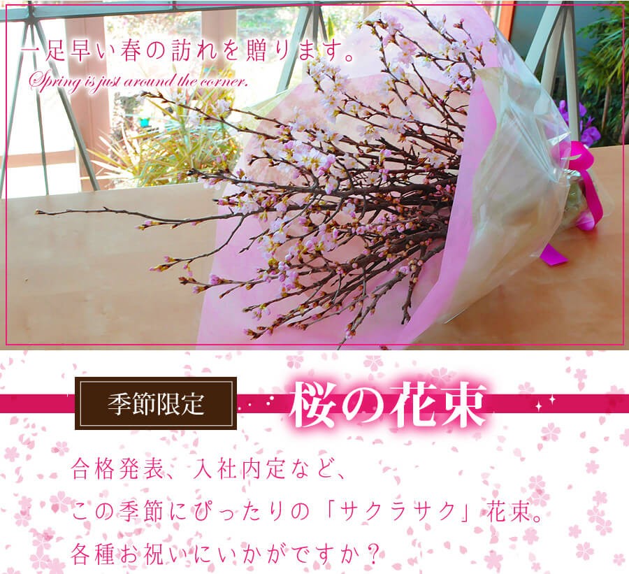 一足早い春の訪れを贈ります。季節限定 桜の花束。合格発表、入社内定など、この季節にぴったりの「サクラサク」花束。各種お祝いにいかがですか？