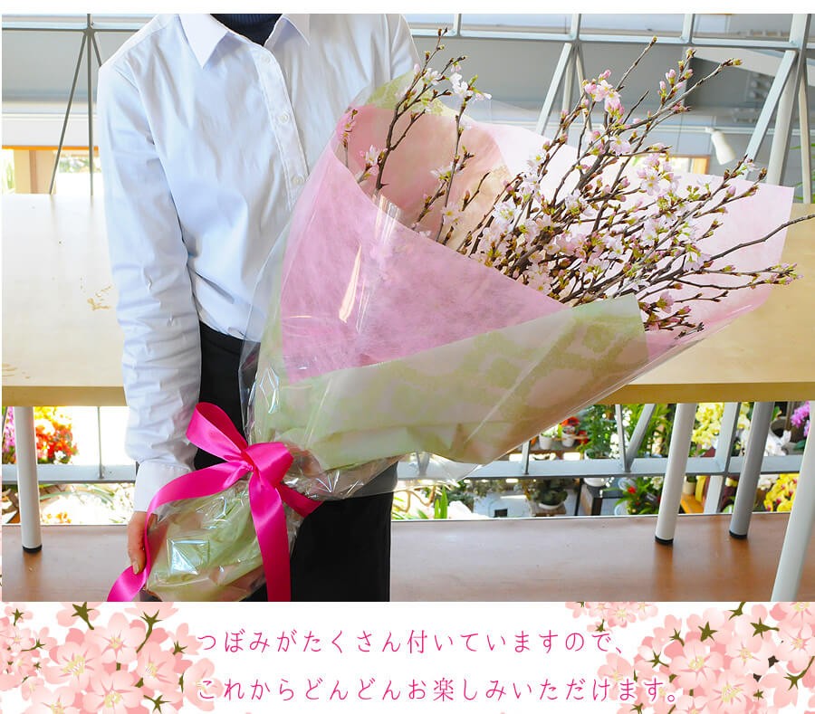 つぼみがたくさん付いていますので、これからどんどんお楽しみいただけます。