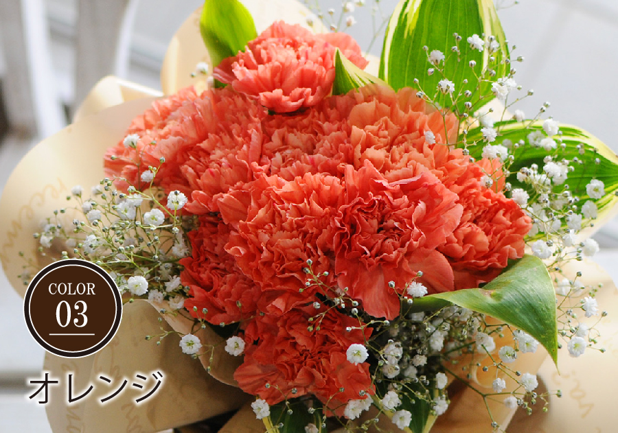 エーデルワイス花の贈り物 母の日ギフト カーネーション ははの
