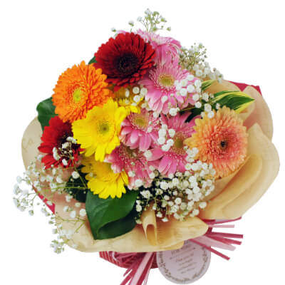 エーデルワイス花の贈り物 誕生日 プレゼント 花束 ガーベラ 生花 花