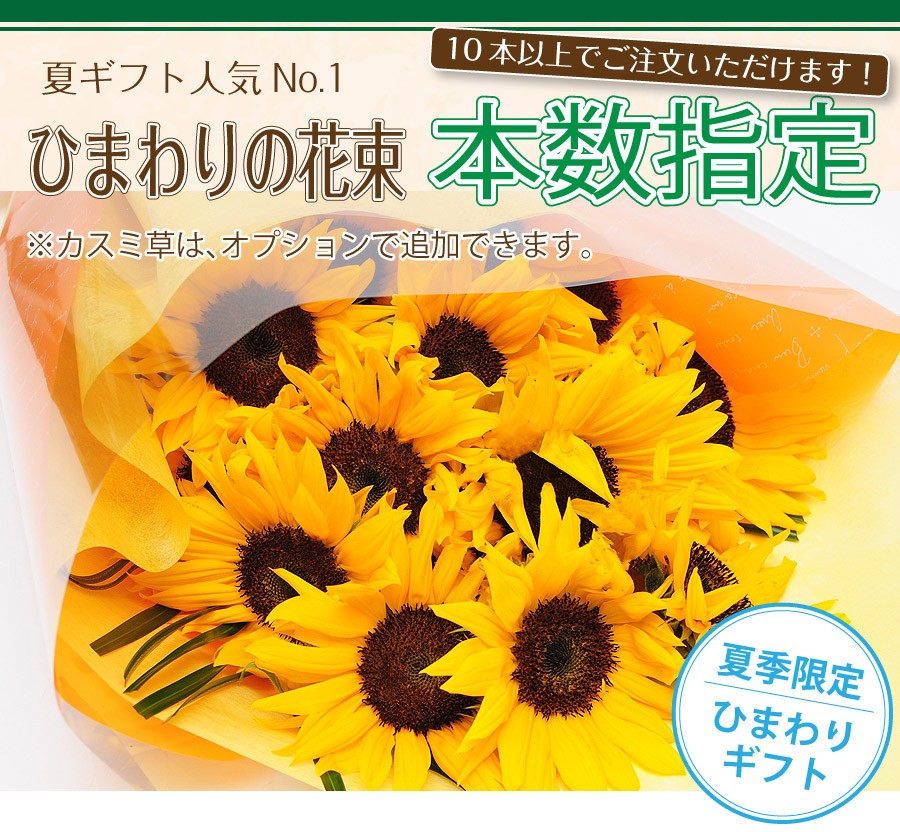 10本以上からのご注文受付 ギガランキングｊｐ