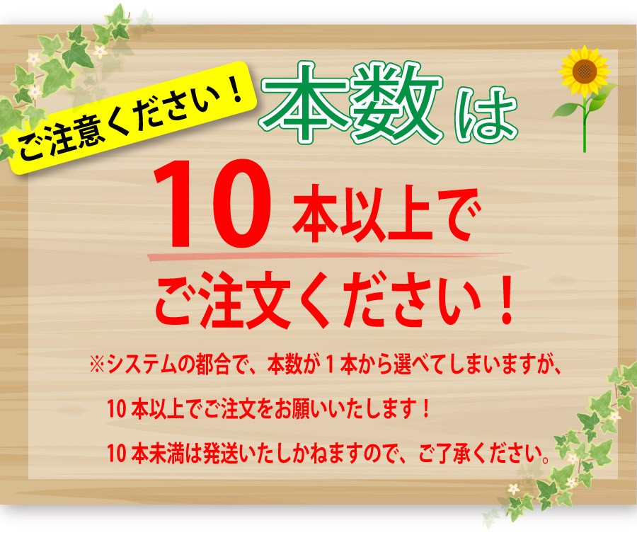 ひまわり 向日葵 ヒマワリ 花束 ブーケ