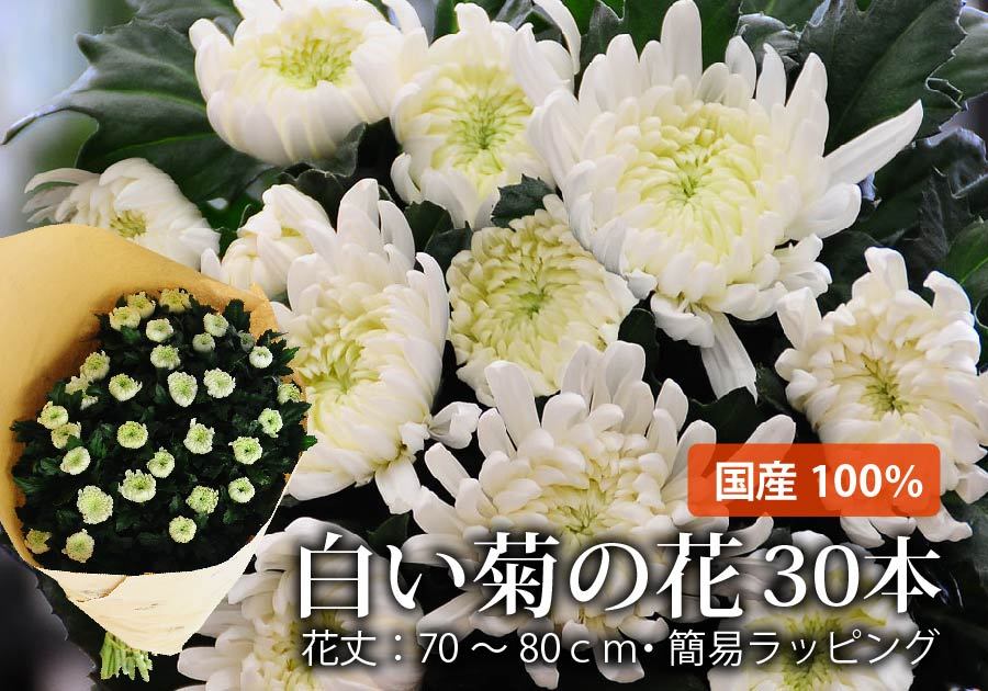 未使用使用済み お彼岸 お供え お悔やみ 仏花 供花 花束 宅配 送料無料 墓参り 仏壇 お悔やみ 花 命日 初七日 年忌法要 一周忌 三回忌 法事法要 白い菊の花束 30本 Ns ヒープ価格セール Milap Com Mx