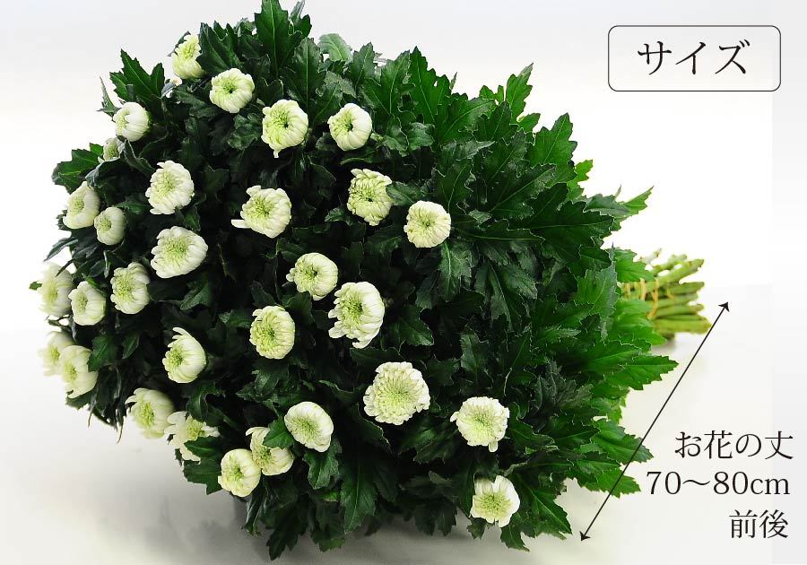 未使用使用済み お彼岸 お供え お悔やみ 仏花 供花 花束 宅配 送料無料 墓参り 仏壇 お悔やみ 花 命日 初七日 年忌法要 一周忌 三回忌 法事法要 白い菊の花束 30本 Ns ヒープ価格セール Milap Com Mx