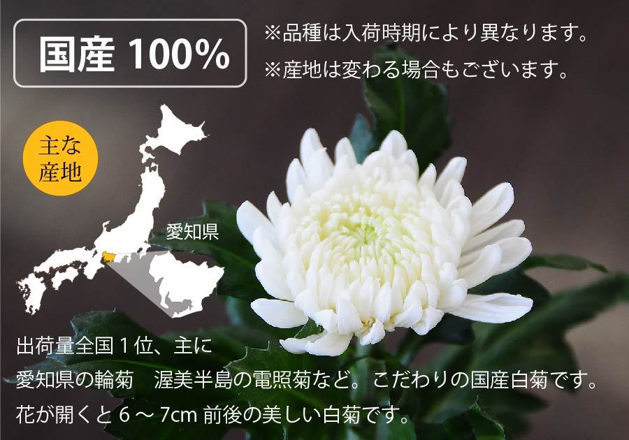 喪中はがきが届いたら お供え 花 贈る 供花 お悔やみ 仏花 花束 宅配 送料無料 墓参り 仏壇 命日 初七日 年忌法要 一周忌 三回忌 法事法要  白い菊の花束 30本 : bq-wkiku30 : 花工房エーデルワイス - 通販 - Yahoo!ショッピング