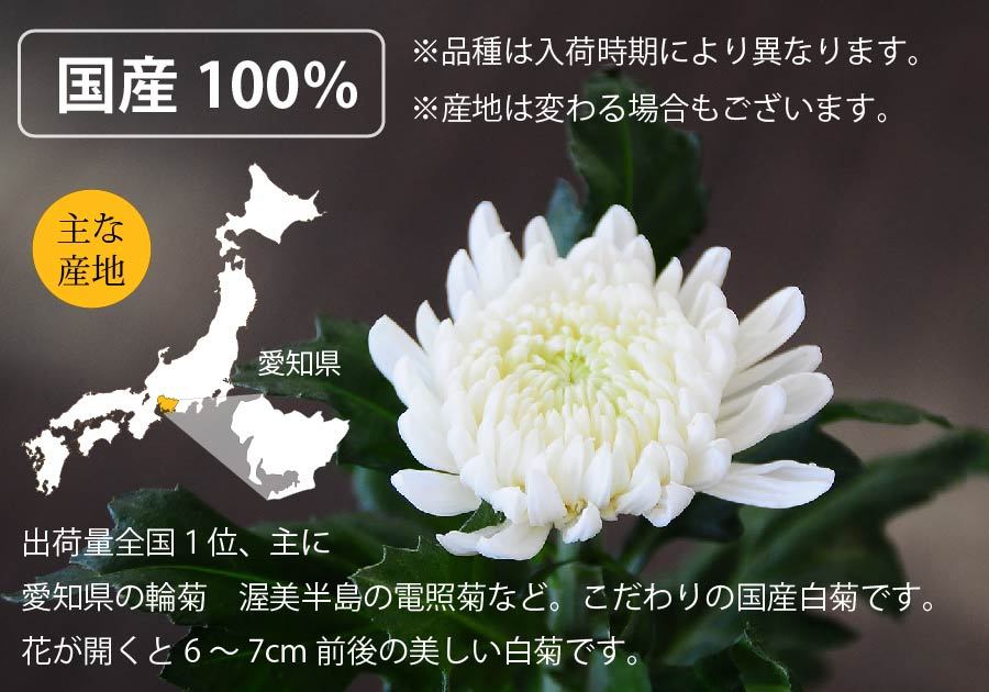 お供え 花 贈る 供花 お悔やみ 仏花 花束 宅配 送料無料 墓参り 仏壇 花 命日 初七日 年忌法要 一周忌 三回忌 法事法要 白い菊の花束 50本  : bq-wkiku50 : 花工房エーデルワイス - 通販 - Yahoo!ショッピング