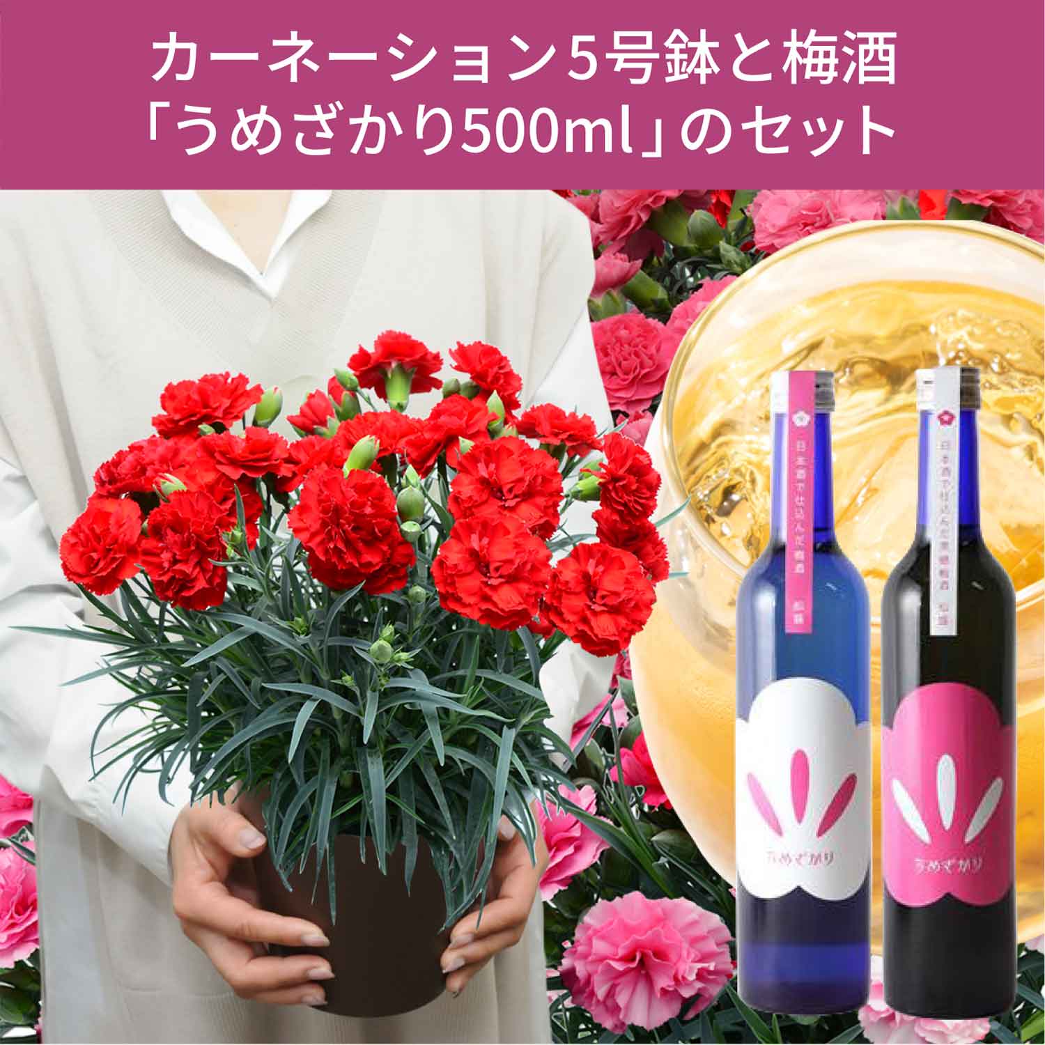 エーデルワイス花の贈り物 母の日 遅れてごめんね 2026 花とお酒 