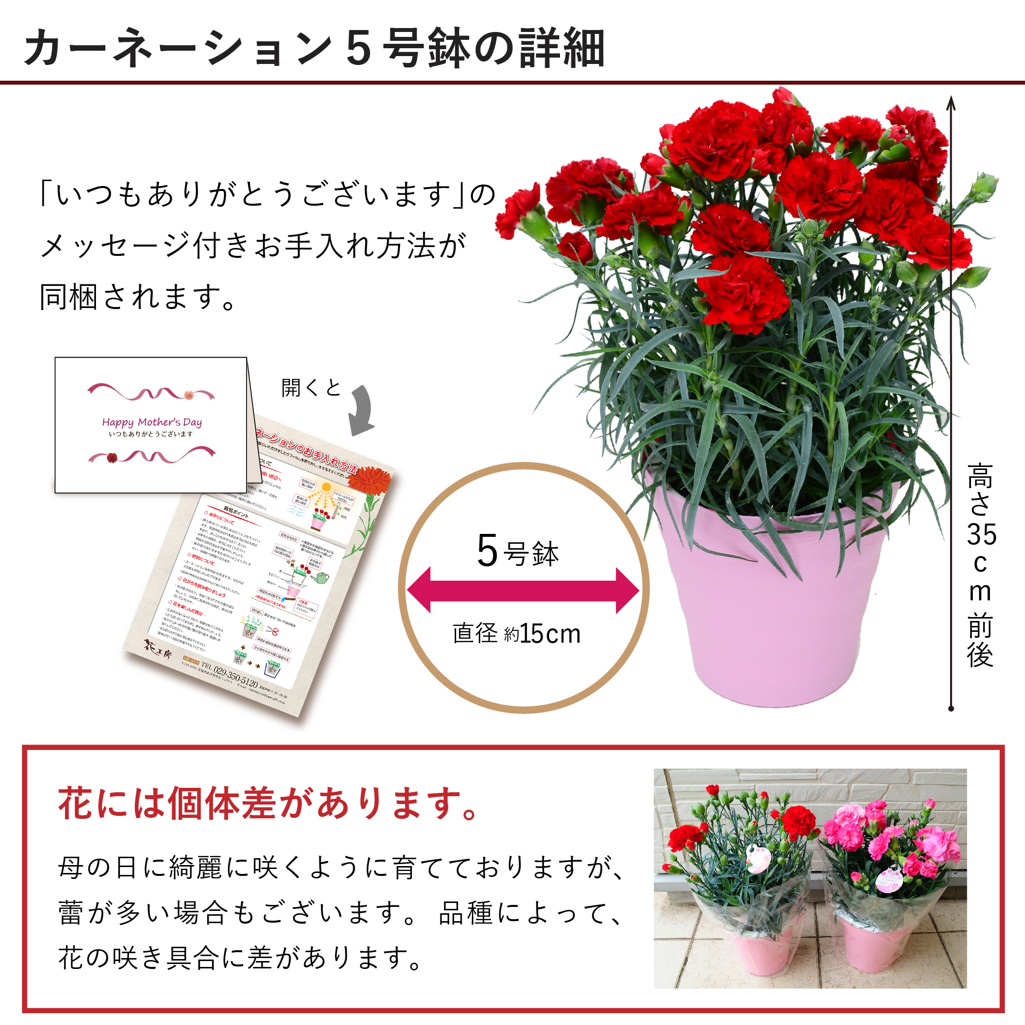 5号サイズ