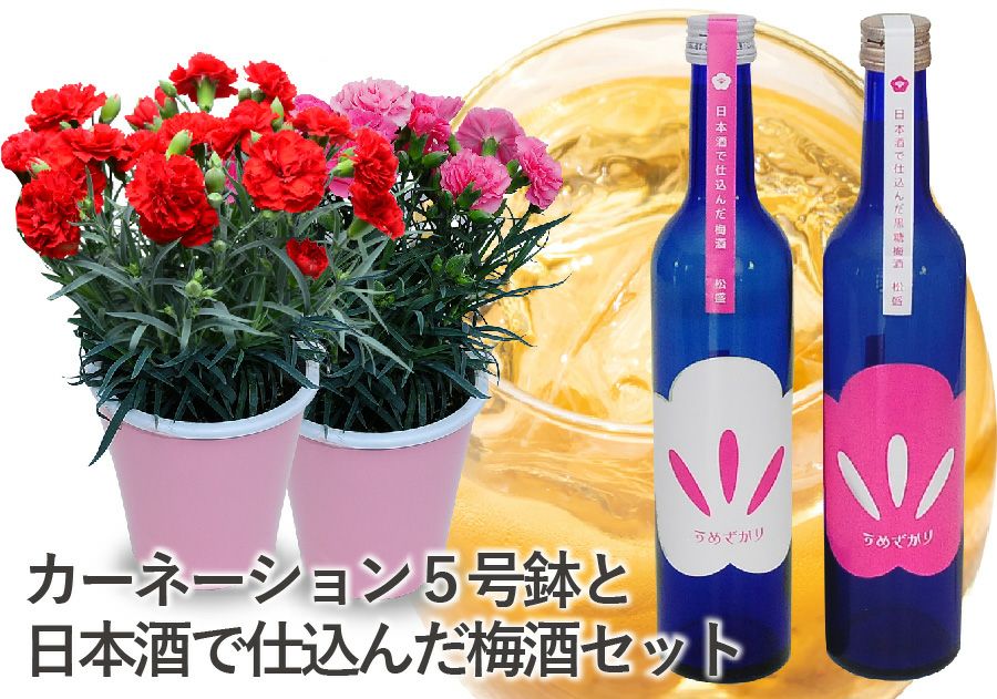 カーネーションと梅酒
