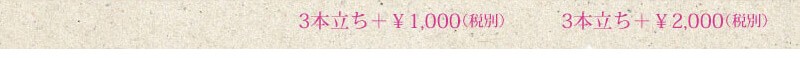 3本立+1,000円(税別)。3本立+2,000円(税別)。