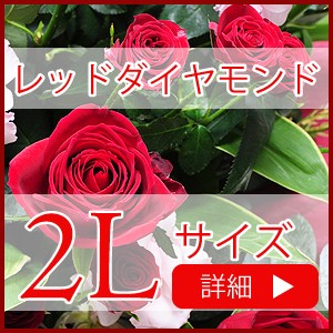 万人に人気の赤いバラをメインにしたアレンジメント