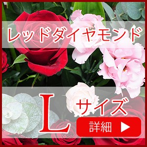 万人に人気の赤いバラをメインにしたアレンジメント