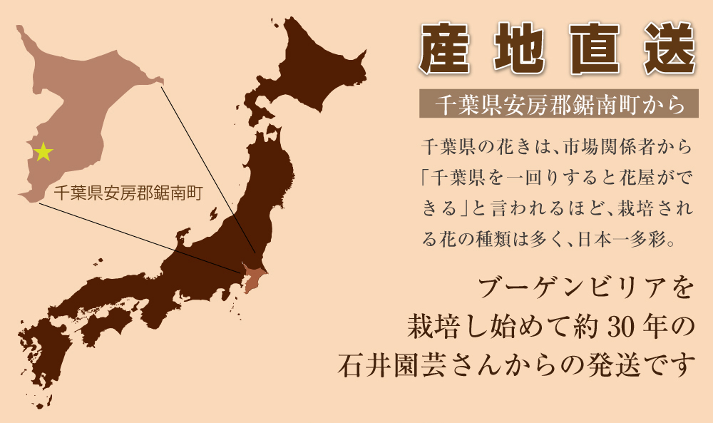 産地直送 
