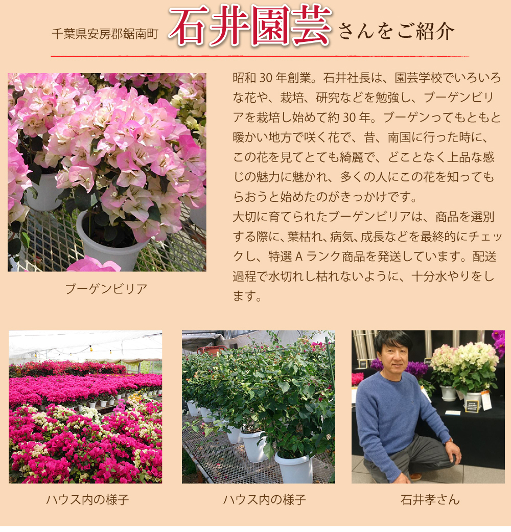 産地直送 