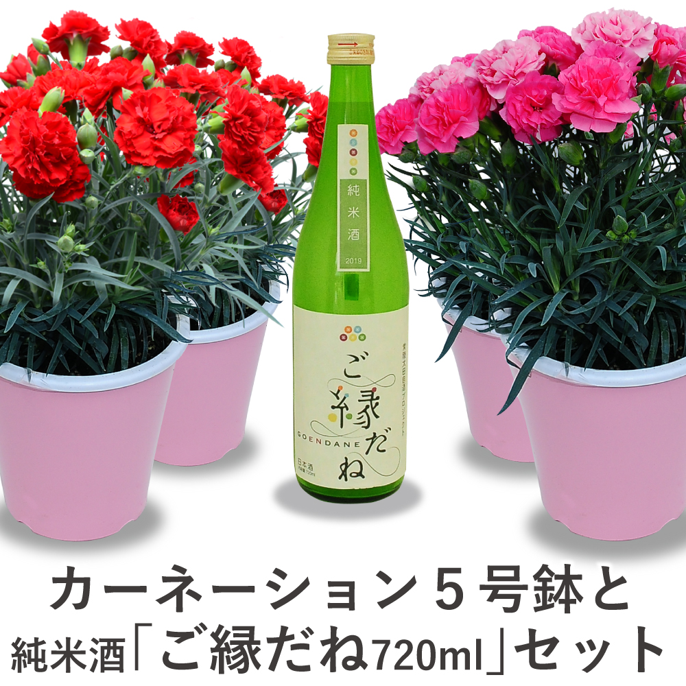 カーネーションとご縁だね