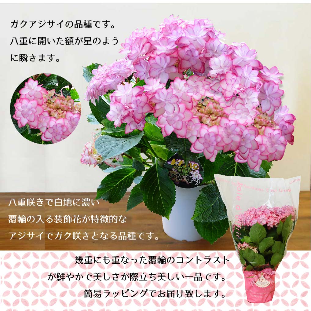 ラッピング