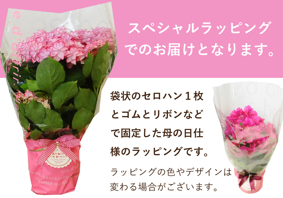 ラッピング