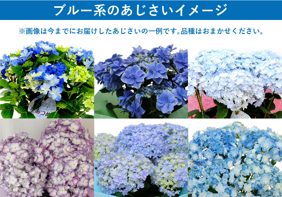 ブルー系