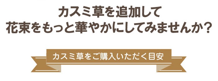 カスミ草の花言葉は清らかな心、魅力、無邪気など