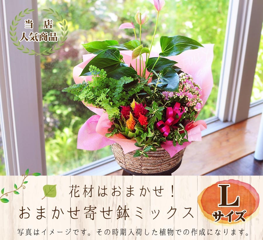 当店人気商品!花材はおまかせ!寄せ鉢ミックスアレンジ