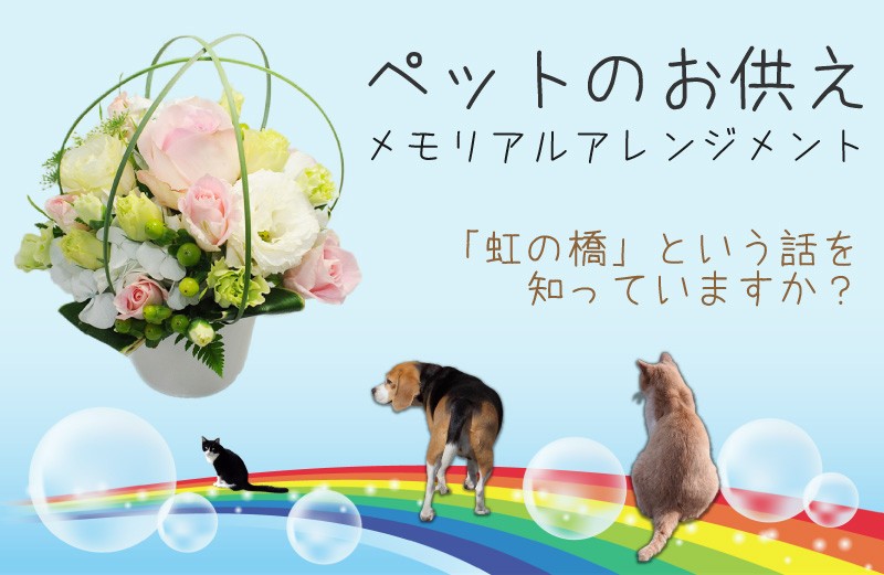 ペット 犬 猫 お供え お悔やみ 花