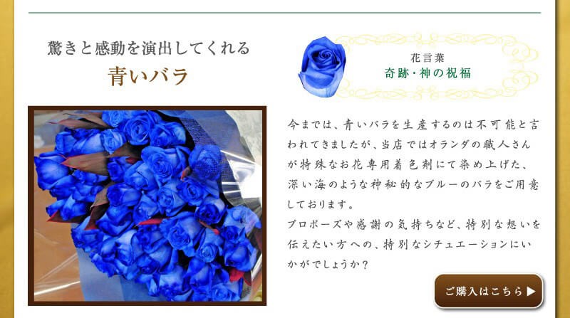 青い薔薇の写真素材｜写真素材なら「写真AC」無料（フリー）ダウンロードOK