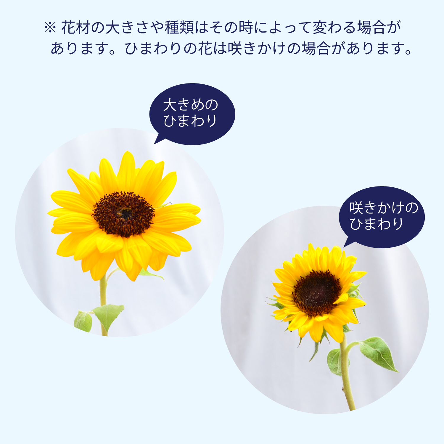 エーデルワイス花の贈り物 花 ギフト そのまま飾れるひまわりのブーケ