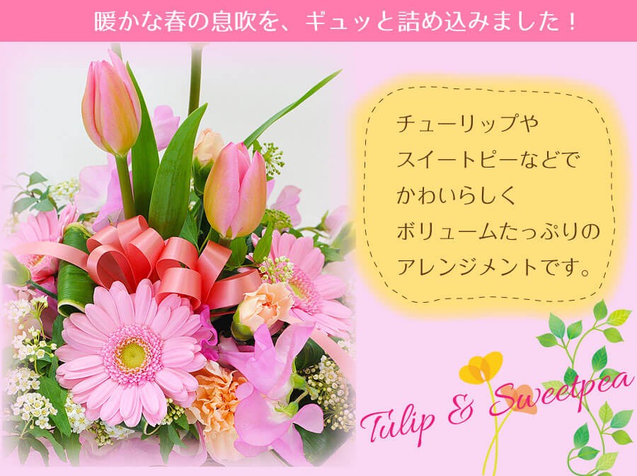 エーデルワイス花の贈り物 花ギフト プレゼント 花 チューリップ