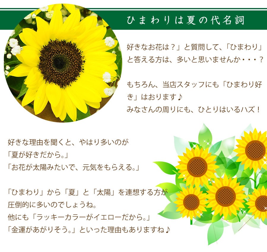 ひまわり 向日葵 ヒマワリ 花束 ブーケ