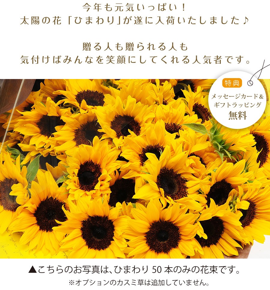 完売 花 プレゼント ギフト ひまわりの花束 50本 ヒマワリ 向日葵 超歓迎 Www Thedailyspud Com