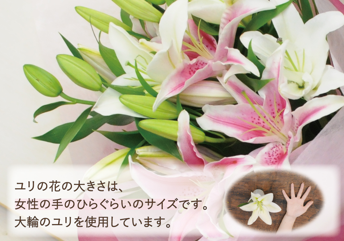 エーデルワイス花の贈り物 誕生日 花束 プレゼント ユリ 百合