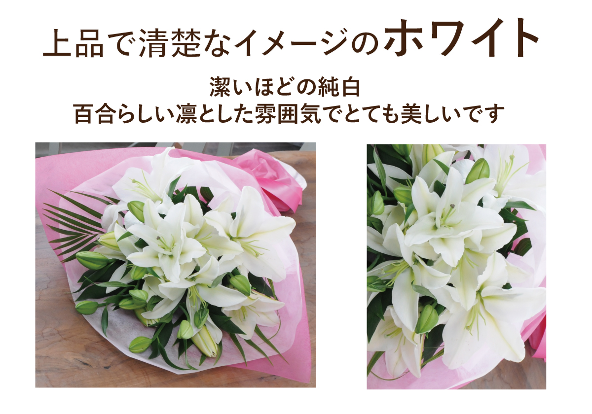 誕生日 花束 プレゼント ユリ 百合 ギフト 記念日 豪華大輪 ピンク 白 ユリ20輪の花束 お供え お悔やみにも : 0806wll20 : 花工房エーデルワイス  - 通販 - Yahoo!ショッピング