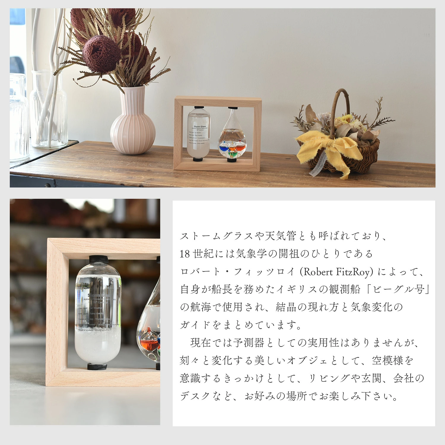 ストームグラスの商品一覧 通販 - Yahoo!ショッピング