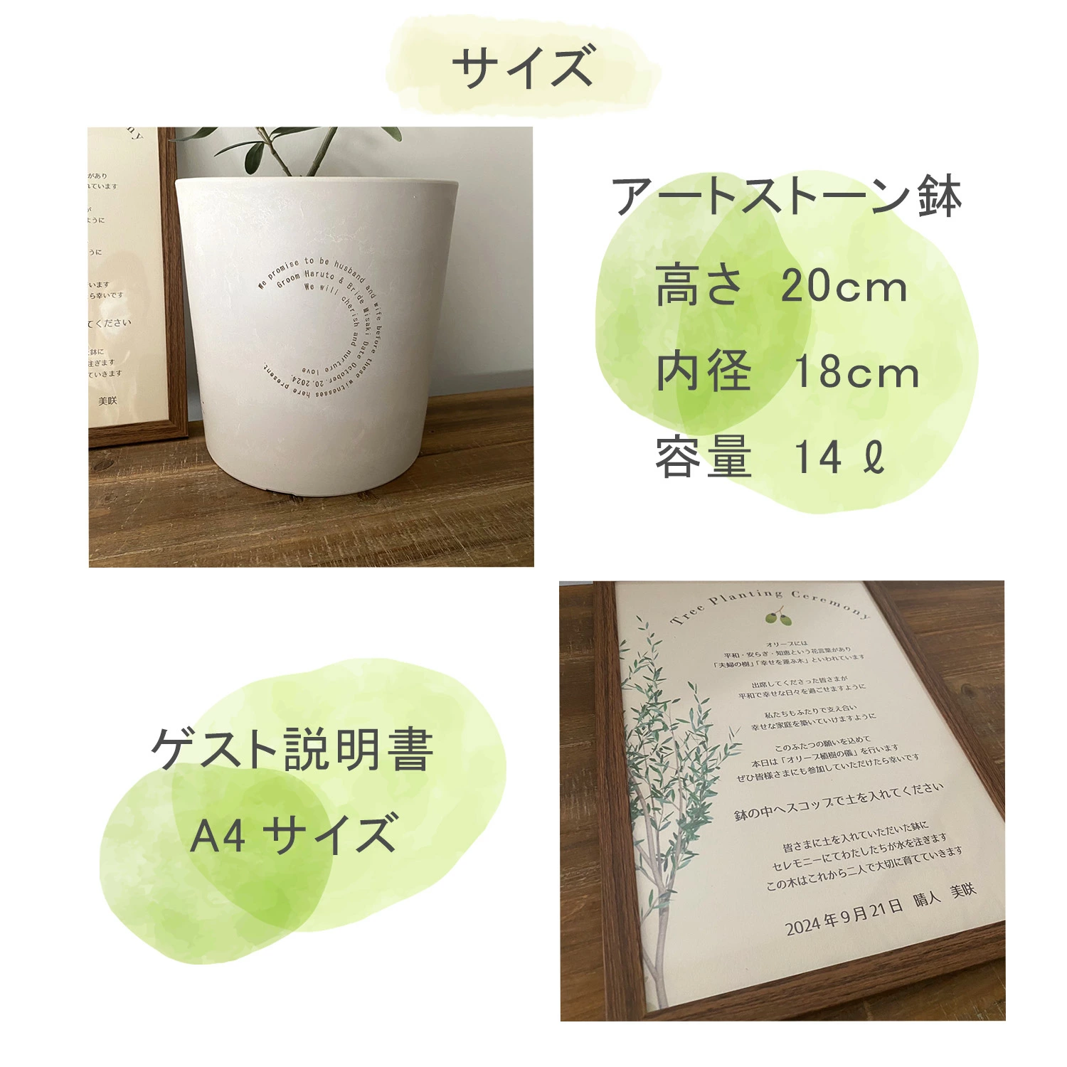 植樹の儀 送料無料 結婚証明書 ゲスト参加型 植樹の儀 植樹セレモニー オリーブ植樹 オリーブの樹 記念樹ウェディング 結婚式 ウェルカムスペース 名入れ マクサクギフトショップ - 通販 - Yahoo ショッピング