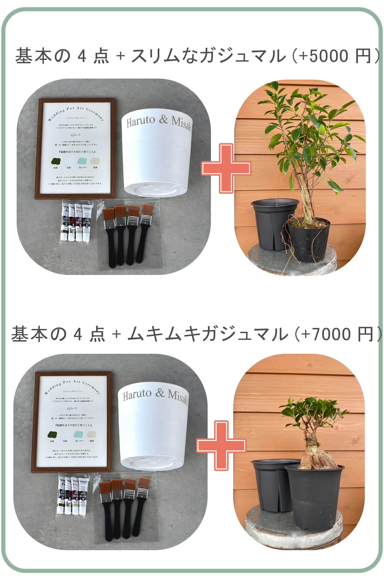 ゲスト参加型 結婚証明書 ペイントアート 植樹 オリーブ ガジュマル 水