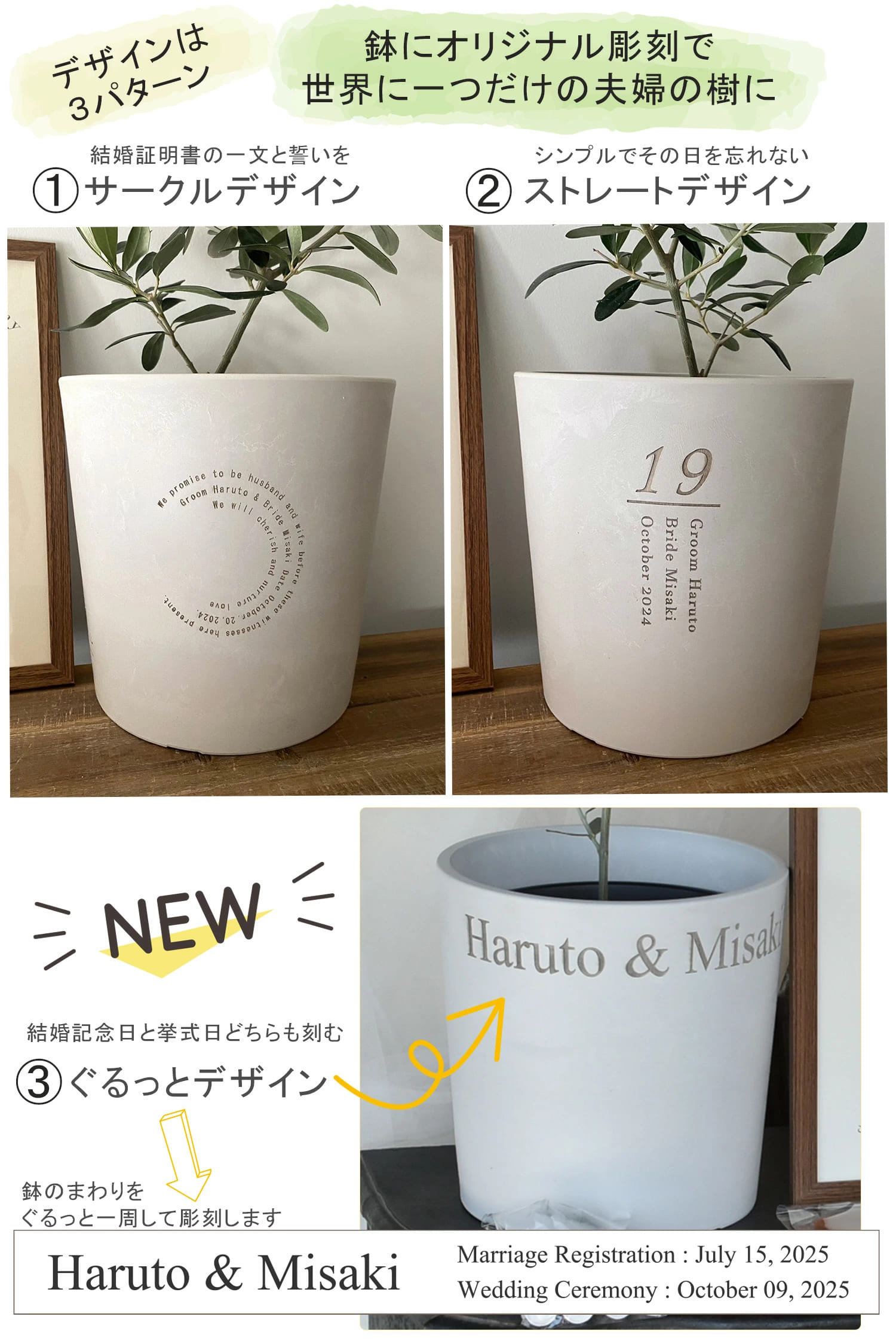 ゲスト参加型 結婚証明書 ペイントアート 植樹 オリーブ ガジュマル 水