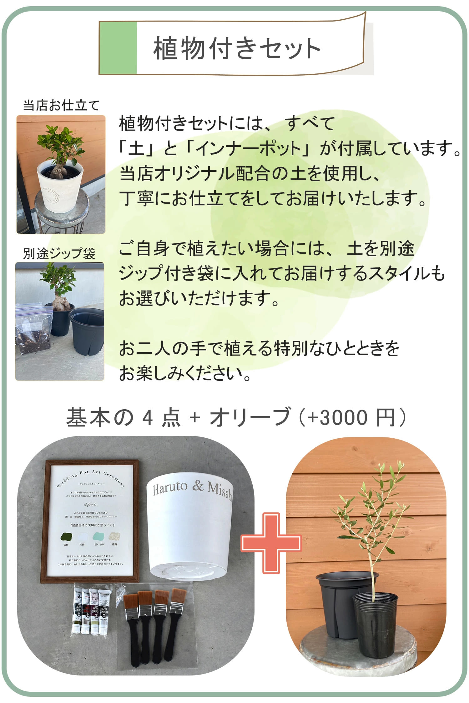 ゲスト参加型 結婚証明書 ペイントアート 植樹 オリーブ ガジュマル 水
