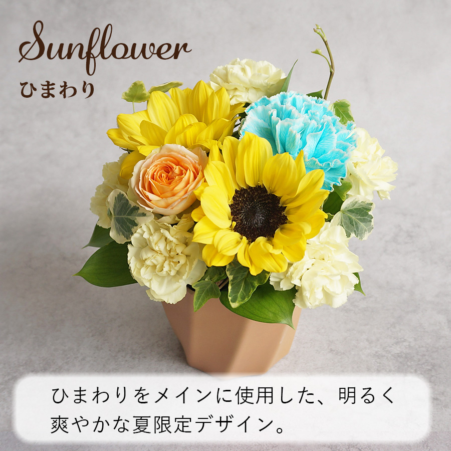 FLORAISON（フロレゾン） 父の日 生花 ミニアレンジメント シュクル