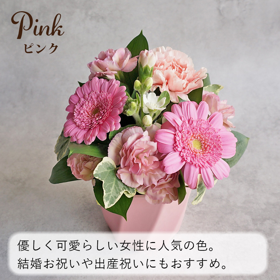 FLORAISON（フロレゾン） 父の日 生花 ミニアレンジメント シュクル